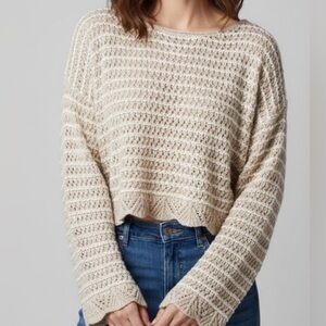 NWT: AE Crop crochet sweater